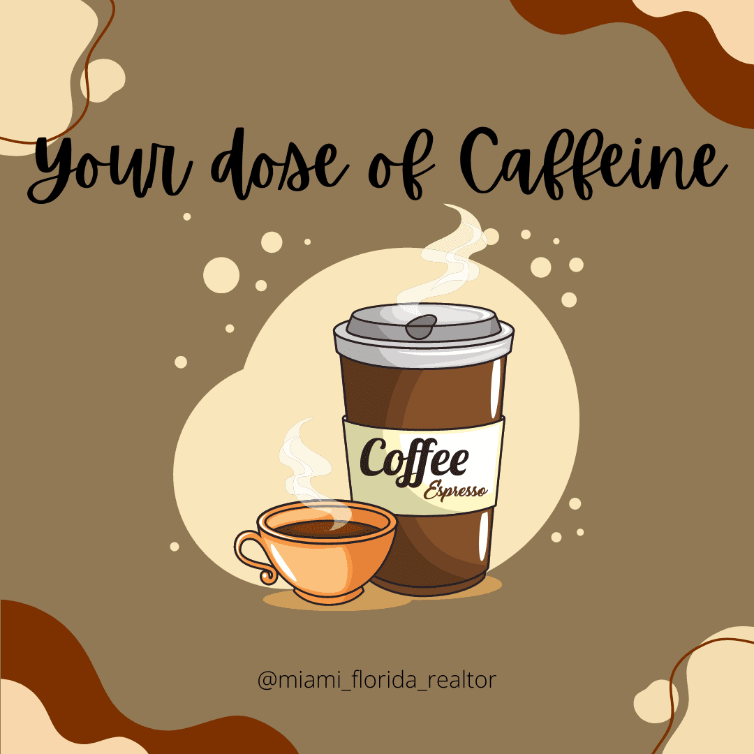 BEST-COFFEE-STOPS-IN-MIAMI-1.